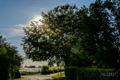 20150610-DSC_1533