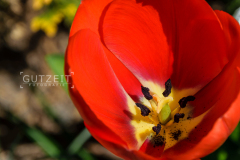 20150420-_DSC0663