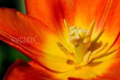 20150421-_DSC0789