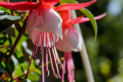 20150503-_DSC0680