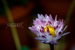 20150510-_DSC0750