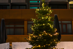 DSC_8069