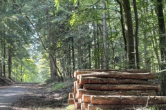 20240831_153944_Bildgroesse-aendern