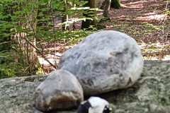 20240831_155222_Bildgroesse-aendern