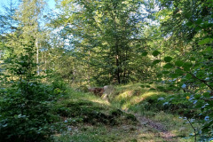 20240831_155829_Bildgroesse-aendern