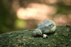 DSC_2856_Bildgroesse-aendern
