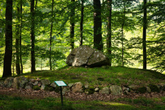 DSC_2857_Bildgroesse-aendern