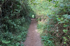 20240901_151414_Bildgroesse-aendern