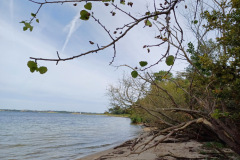 20240901_152044_Bildgroesse-aendern