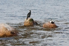 20240901_152746_Bildgroesse-aendern