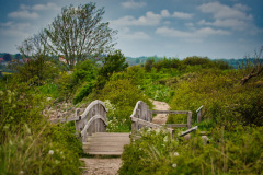DSC_1543_Bildgroesse-aendern