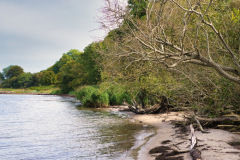 DSC_2888_Bildgroesse-aendern