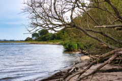 DSC_2889_Bildgroesse-aendern