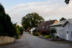 20150815-DSC_0335