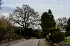 20151009-DSC_2035