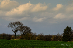 20160414-DSC_7174