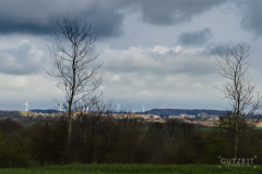 20160426-DSC_7568-Bearbeitet