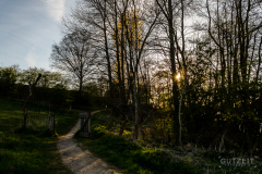 20160501-DSC_7694