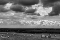 20160726-DSC_1315-1