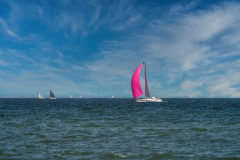 DSC_3016