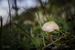 20171008-_DSC1770
