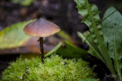 20191103-_DSC2723