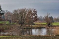 DSC_3800