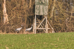 DSC_3808