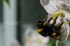 20150502-_DSC1275