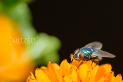 20150505-_DSC1427