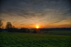 DSC_4207