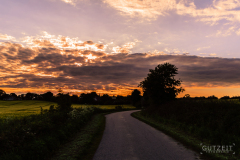 20150609-DSC_3166