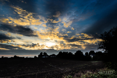 20150814-DSC_0248