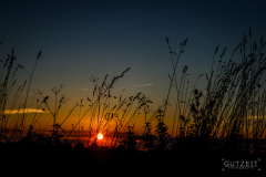 20150829-DSC_0742