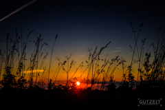 20150829-DSC_0743
