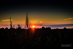 20150829-DSC_0749