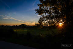 20150901-DSC_0959