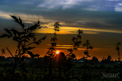 20150926-DSC_1846
