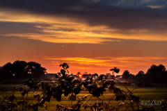 20150926-DSC_1866