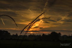 20151004-DSC_1994