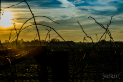 20151107-DSC_2310