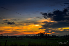 20151107-DSC_2417