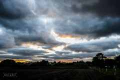 20161005-DSC_3271