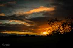 20161009-DSC_3447