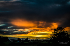 20161009-DSC_3452