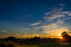 DSC_0969-1