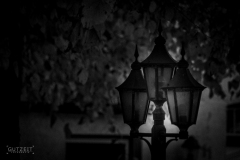 20161025-DSC_3686