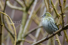 20160306-DSC_5616