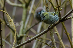 20160306-DSC_5648