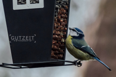 20160306-DSC_5671